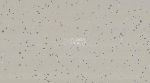 Линолеум Taralay Premium Compact Indiana 3788 NAURU фото 1 | FLOORDEALER